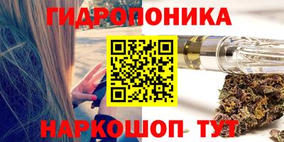 apvp Краснознаменск