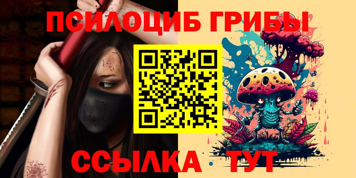 Галлюциногенные грибы Cubensis  Вход с VPN  Костомукша 