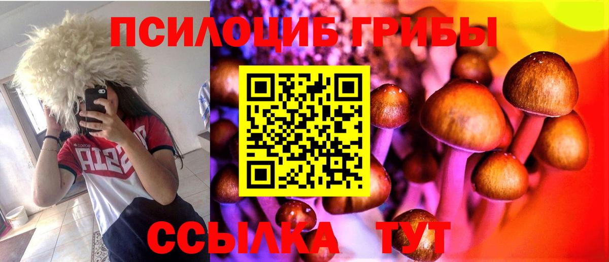 Псилоцибиновые грибы ЛСД Костомукша